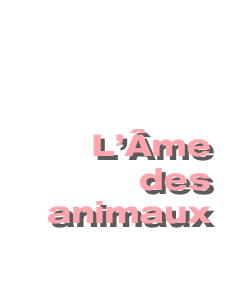 

L’Âme 
des animaux
